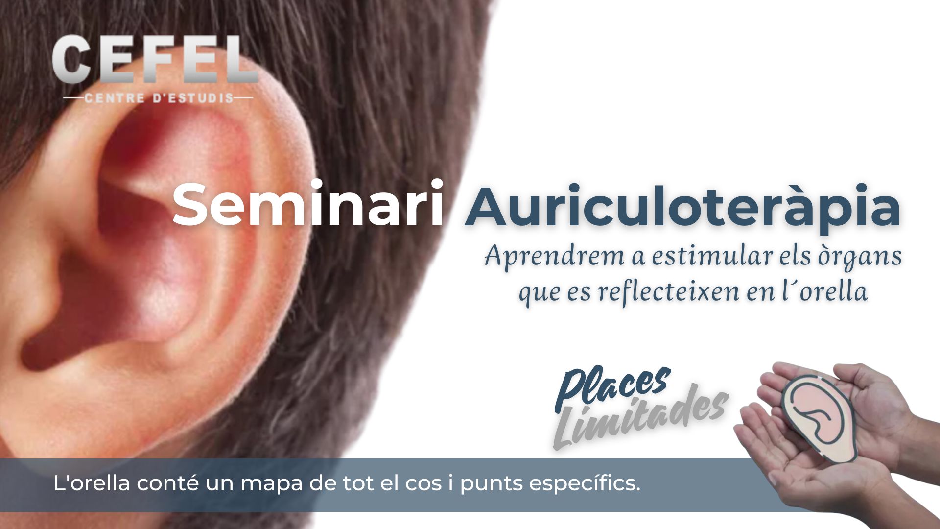 curs-auriculoterapia