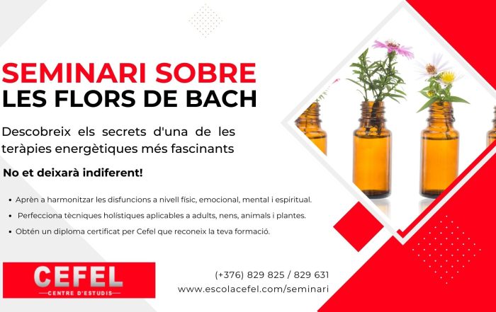 curs-flors-bach