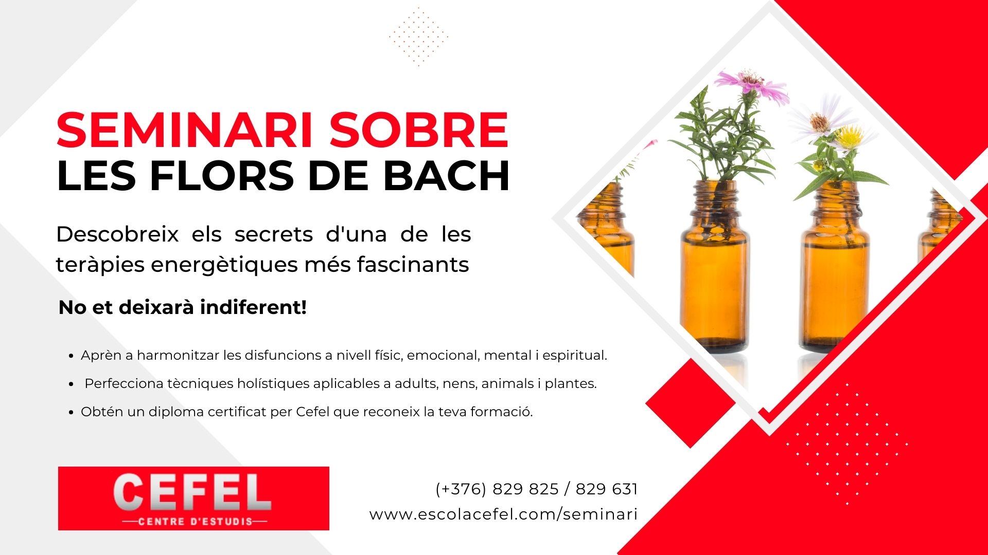 curs-flors-bach