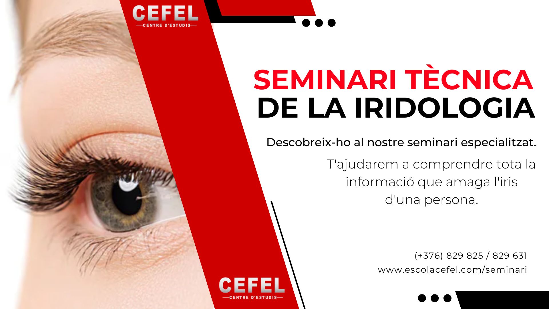 curs-iridologia