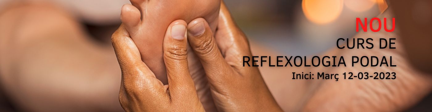 cefel-nous-cursos-ordenador